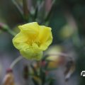IMG_1765689
