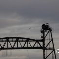 IMG_1769368