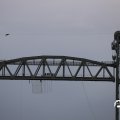 IMG_1769468