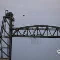 IMG_1769469