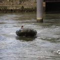IMG_1769510