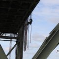 IMG_1769539