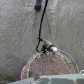 IMG_1769615