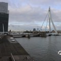 IMG_1769441