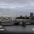 IMG_1769445