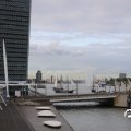 IMG_1769453