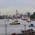 IMG_1769484