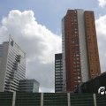 IMG_1811370