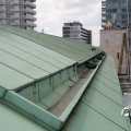 IMG_1811403