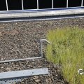 IMG_1811556