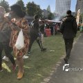 IMG_1821339