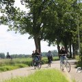 IMG_1817520