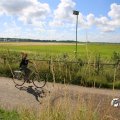 IMG_1817528