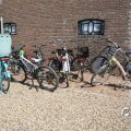 IMG_1817531
