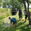IMG_1817568