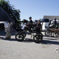 IMG_1818262