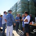 IMG_1818308
