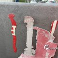 IMG_4850