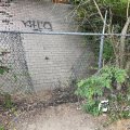 IMG_1821594
