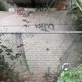 IMG_1821595