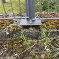 IMG_1821600