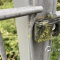 IMG_1821604