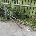 IMG_1821891