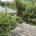 IMG_1821913
