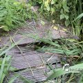 IMG_1821914