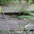 IMG_1821915