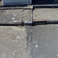 IMG_1822608