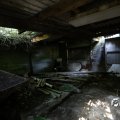 IMG_1821658