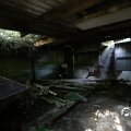 IMG_1821660