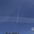 IMG_1821706