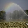 IMG_1821733