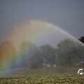 IMG_1821734
