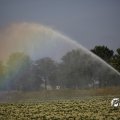 IMG_1821736