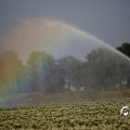 IMG_1821738