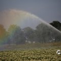 IMG_1821739