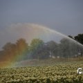 IMG_1821740