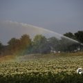 IMG_1821746