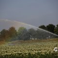 IMG_1821748