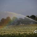IMG_1821751