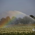 IMG_1821755