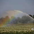 IMG_1821756
