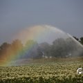 IMG_1821759