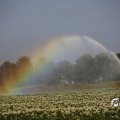 IMG_1821763