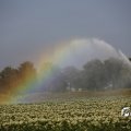 IMG_1821764