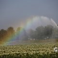 IMG_1821767