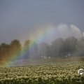 IMG_1821769